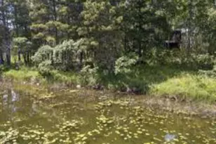 22510 Spider Is, Mantrap Twp, MN 56467 - Photo 11