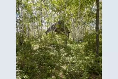 22510 Spider Island, Mantrap Twp, MN 56467 - Photo 9