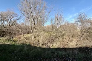 505 Willow Ave, Eden Valley, MN 55329 - Photo 17