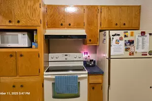 1008 Laurel St, Littlefork, MN 56653 - Photo 19