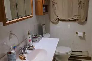 1008 Laurel St, Littlefork, MN 56653 - Photo 23