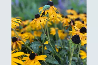 26265 Hunter Avenue, Wyoming, MN 55092 - Photo 75