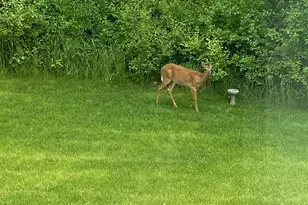 26265 Hunter Ave, Wyoming, MN 55092 - Photo 71