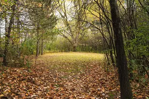 8353 177th Ln NE, Forest Lake, MN 55025 - Photo 33