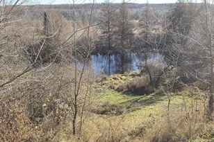 1816 300th Ave, Frederic, WI 54837 - Photo 15