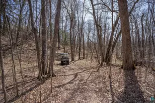 84335 Jack Pine Ln, Sturgeon Lake, MN 55783 - Photo 7