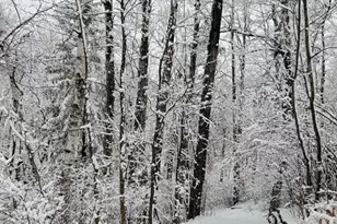 84335 Jack Pine Ln, Sturgeon Lake, MN 55783 - Photo 61