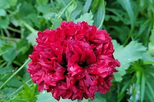 84335 Jack Pine Ln, Sturgeon Lake, MN 55783 - Photo 57