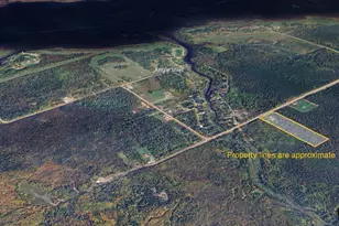 9289 Dawson Rd NW, Angle Inlet, MN 56711 - Photo 27