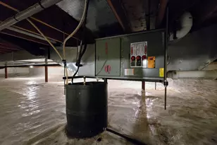 1318 161st St, Holland, MN 56139 - Photo 49