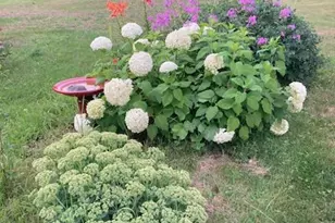 1662 County 7 NE, Longville, MN 56655 - Photo 55