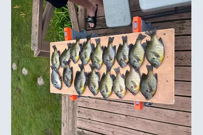 5913 Little Cloquet Road, Cromwell, MN 55726 - Photo 49