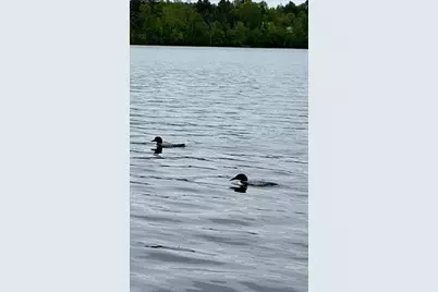 5913 Little Cloquet Road, Cromwell, MN 55726 - Photo 51