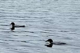 5913 Little Cloquet Rd, Cromwell, MN 55726 - Photo 51