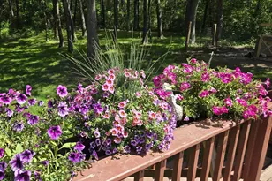 4570 Pine Point Dr NW, Turtle Lake Township, MN 56484 - Photo 9