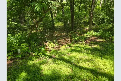 4570 Pine Point Drive NW, Walker, MN 56484 - Photo 9