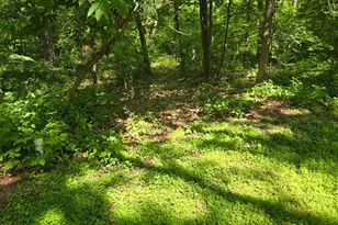 4570 Pine Point Dr NW, Walker, MN 56484 - Photo 9