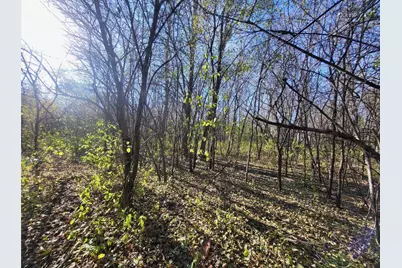 Tbd 438th Street, Harris, MN 55032 - Photo 1