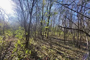 Tbd 438th St, Harris, MN 55032 - Photo 1