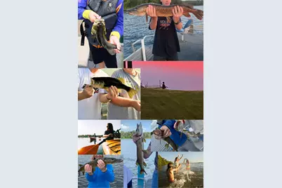 24191 Deerwood Lane, Deerwood, MN 56444 - Photo 3