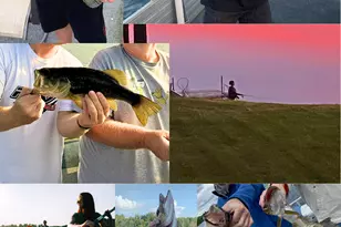 24191 Deerwood Ln, Deerwood, MN 56444 - Photo 3