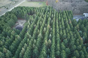 36915 Oak Point Dr, Otto Twp, MN 56567 - Photo 65