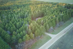 36915 Oak Point Dr, Otto Twp, MN 56567 - Photo 63