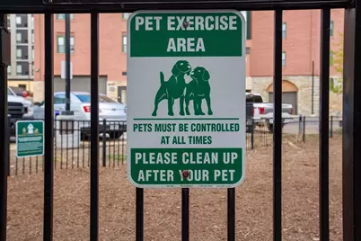 401 S 1st Street #1104, Minneapolis, MN 55401 - Photo 45