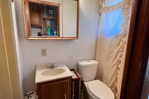 7302 Lake Camile Dr, Randall, MN 56475 - Photo 25