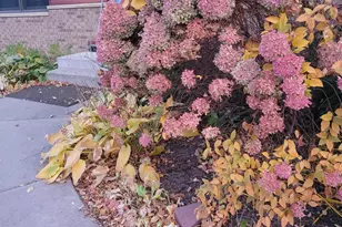 2916 6th Ave NW, Rochester, MN 55901 - Photo 51