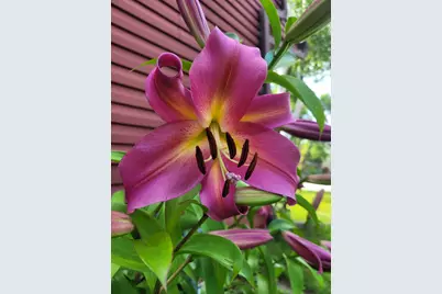 2916 6th Avenue NW, Rochester, MN 55901 - Photo 53