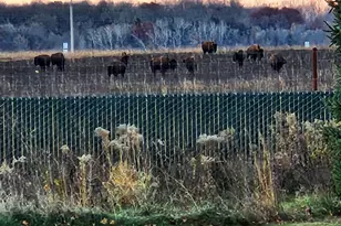 4213 Blakewood Dr, Shakopee, MN 55379 - Photo 35