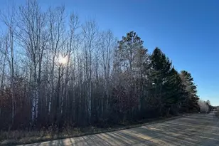 Tbd NW 36th St, Akeley, MN 56433 - Photo 1