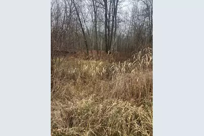 Tbdxx Lake Camile, Cushing Township, MN 56475 - Photo 1