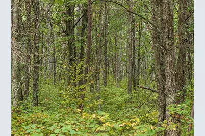 Lot B Sandbar Lane, Merrifield, MN 56465 - Photo 1