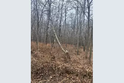 Tbdx Golf Course Dr, Cushing Township, MN 56443 - Photo 1