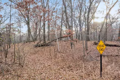 Tbd 97 1/2 Street NW, Zimmerman, MN 55398 - Photo 13