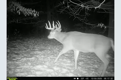 Tbd 294th Street, Red Eye Twp, MN 56477 - Photo 1