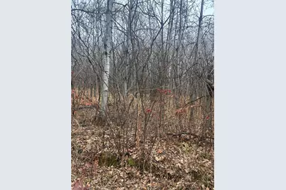 Tbdxx Golf Course Dr, Cushing Township, MN 56443 - Photo 1