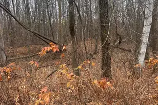 Tbdxxx Golf Course Dr, Cushing Township, MN 56443 - Photo 1