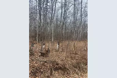 Tbdxxxx Golf Course Dr, Cushing Township, MN 56443 - Photo 1