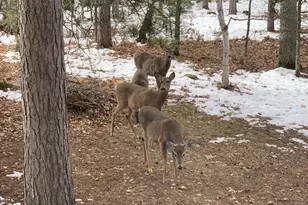 3715 Deer Lodge Dr, Danbury, WI 54830 - Photo 55