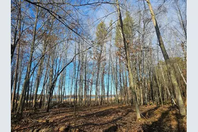 3715 Deer Lodge Drive, Danbury, WI 54830 - Photo 11