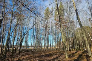 3715 Deer Lodge Dr, Danbury, WI 54830 - Photo 11