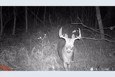 4926 Iroquois Loop, Meadowbrook Twp, MN 56466 - Photo 31