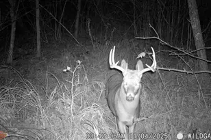 4926 Iroquois Loop, Meadowbrook Twp, MN 56466 - Photo 31