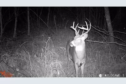 4926 Iroquois Loop, Meadowbrook Twp, MN 56466 - Photo 29