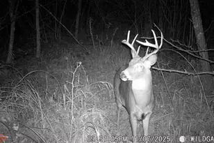 4926 Iroquois Loop, Meadowbrook Twp, MN 56466 - Photo 29