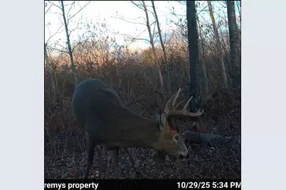 3887 S Lyman Lake Road, South Range, WI 54874 - Photo 39