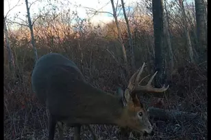 3887 S Lyman Lake Rd, South Range, WI 54874 - Photo 39